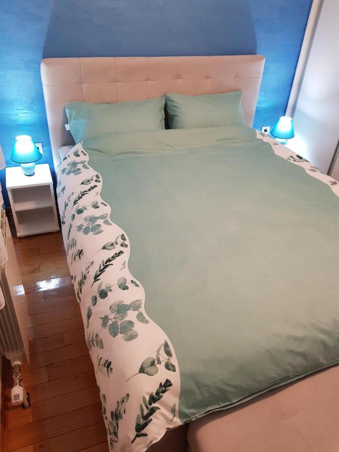 Apartman KEJ BLUE Kraljevo Bagian luar foto